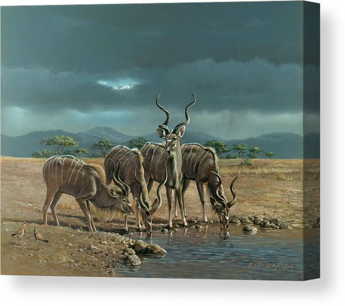Gazelles Drinking Canvas Print featuring the painting Greater Kudus by Harro Maass