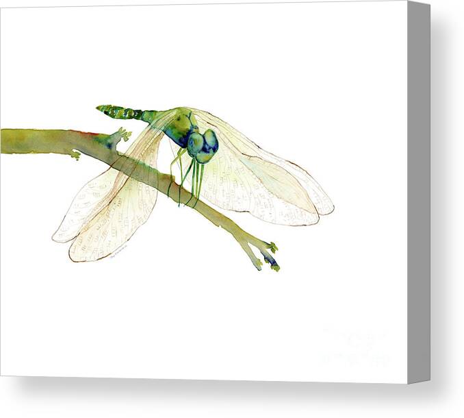 Green Canvas Print featuring the painting Green Dragonfly by Amy Kirkpatrick