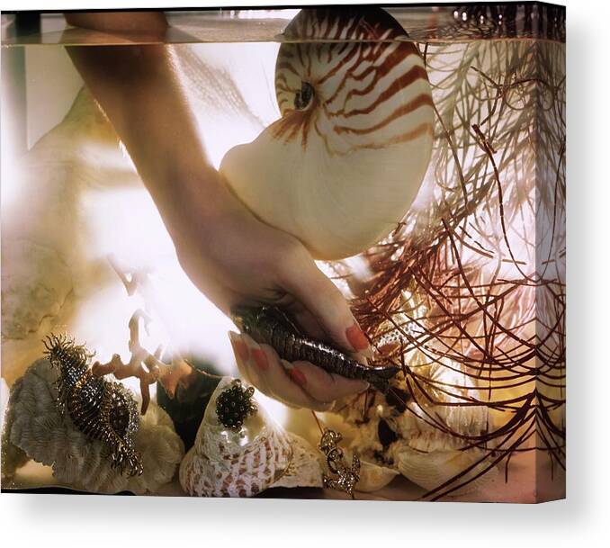 #new2022vogue Canvas Print featuring the photograph Hand In A Fishtank Filled With Jewelry by John Rawlings