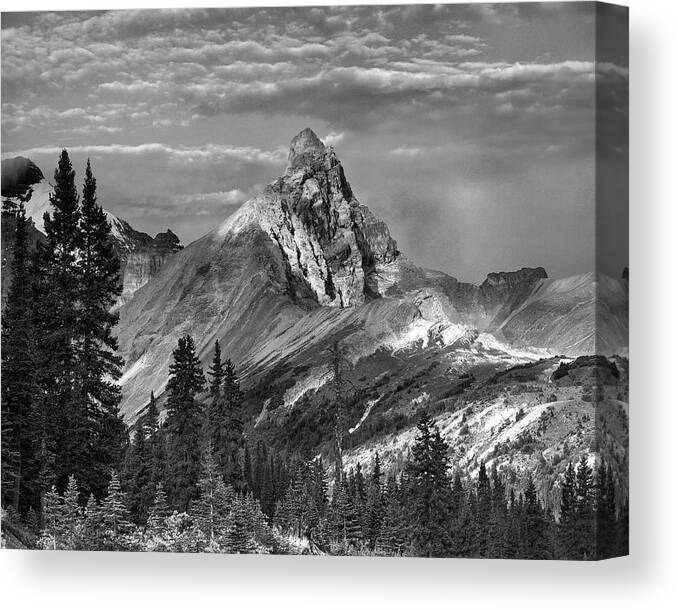 Disk1215 Canvas Print featuring the photograph Hilda Peak Banff National Park by Tim Fitzharris