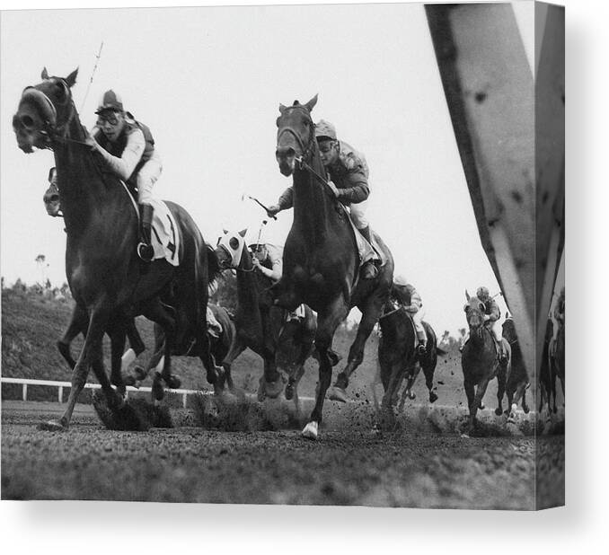 Horse Canvas Print featuring the photograph Horse Race by American Stock Archive