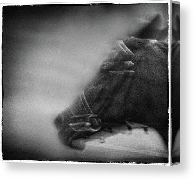 Film Canvas Print featuring the photograph Horse by Rudy Umans