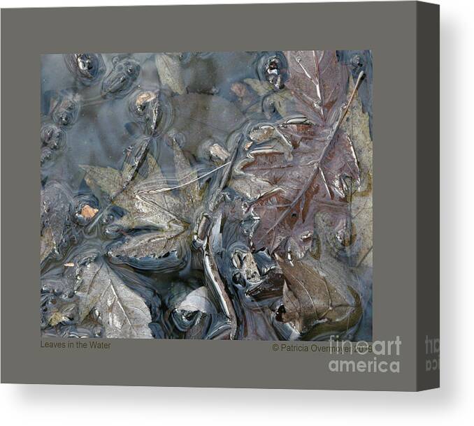 Leaf Canvas Print featuring the photograph Leaves in the Water by Patricia Overmoyer