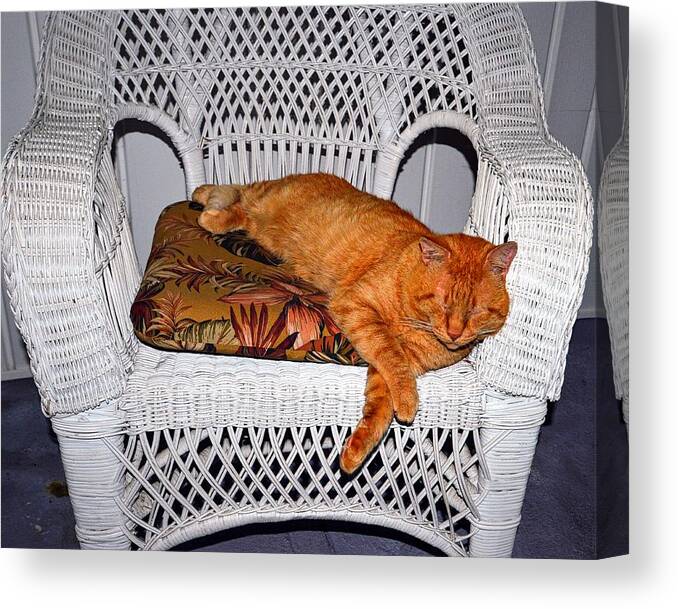 Pets Canvas Print featuring the photograph Life is Good by Stacie Siemsen