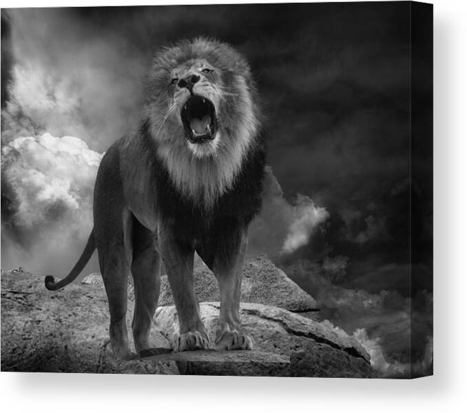 Furry Canvas Print featuring the photograph Lion\'s Roar by Krystina Wisniowska