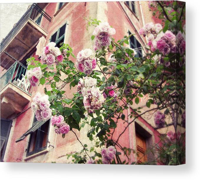 Roses Canvas Print featuring the photograph Little Italian Roses by Lupen Grainne