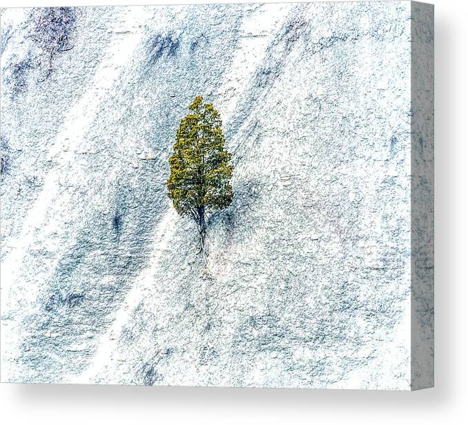 Lonely Tree On The Side Of A Cliff In Letchworth State Park. This Is A Single Image Processed With Adobe Camera Raw Canvas Print featuring the photograph Lonely Tree by Jim Lepard