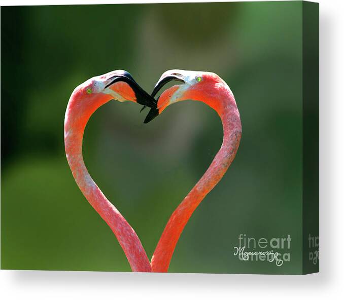Nature Canvas Print featuring the photograph Love Is In The Air by Mariarosa Rockefeller