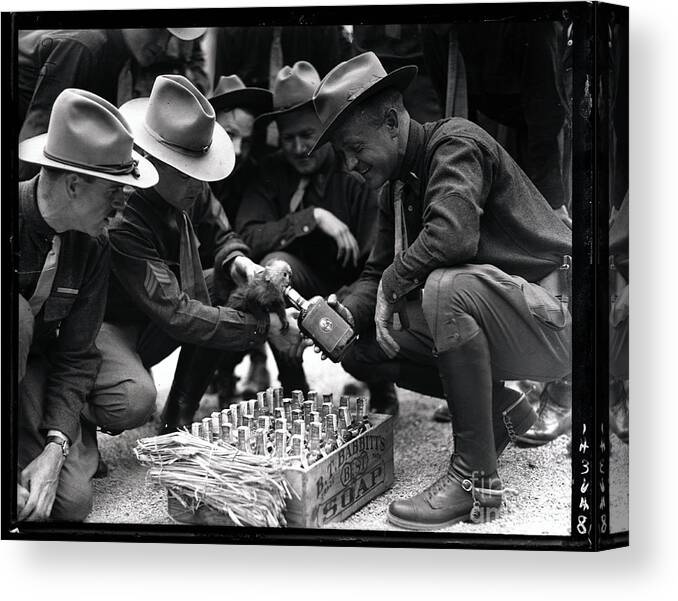People Canvas Print featuring the photograph Monkey Being Fed Alcohol by Bettmann