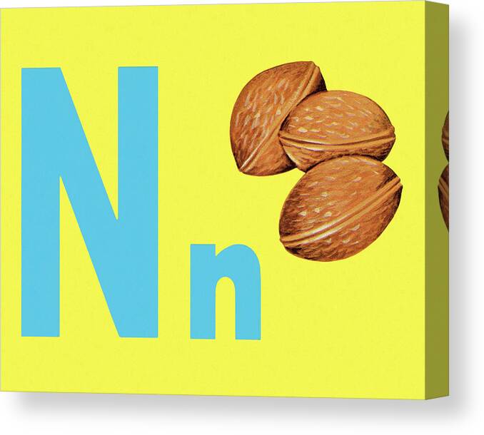 Alphabet Canvas Print featuring the drawing N as in Nut by CSA Images