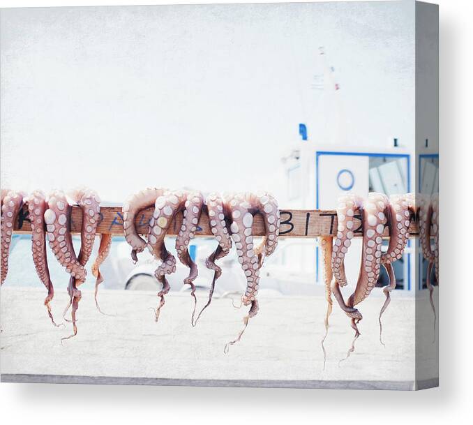 Octopus Canvas Print featuring the photograph Octopus in the Sun by Lupen Grainne