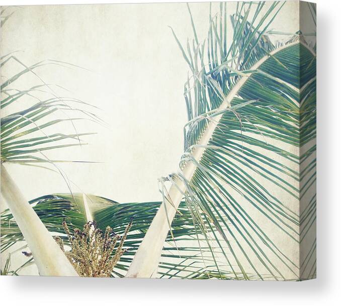Palm Tree Canvas Print featuring the photograph Palm by Lupen Grainne