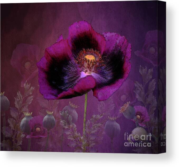 Poppy Canvas Print featuring the digital art Passionate Plum Poppy by J Marielle