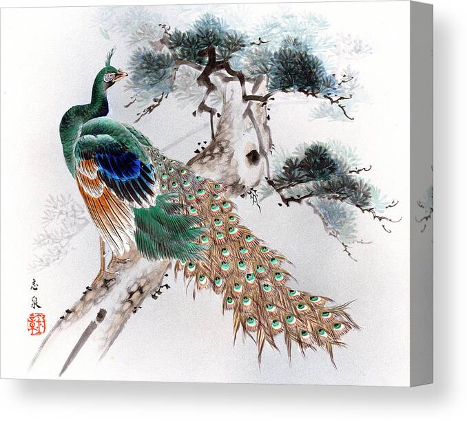 Japan Canvas Print featuring the painting Peacock by Shisen