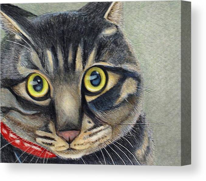 Cat Canvas Print featuring the drawing Pepeo by Tim Ernst