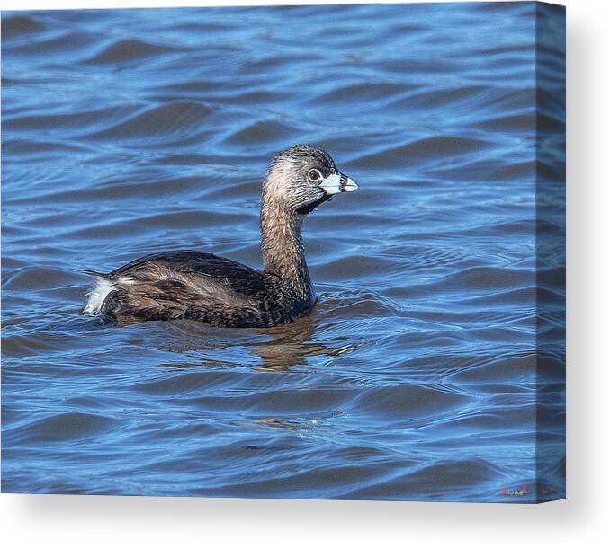 Nature Canvas Print featuring the photograph Pied-billed Grebe DWF0195 by Gerry Gantt