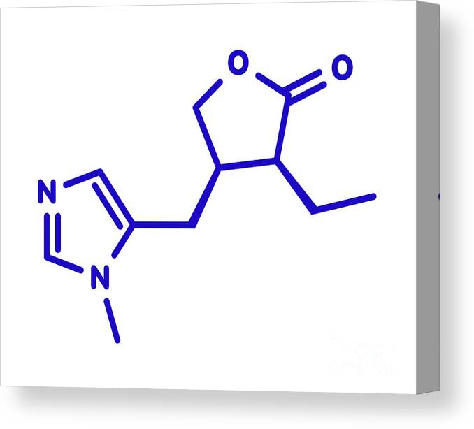 Pilocarpine Canvas Print featuring the photograph Pilocarpine Drug Molecule by Molekuul/science Photo Library