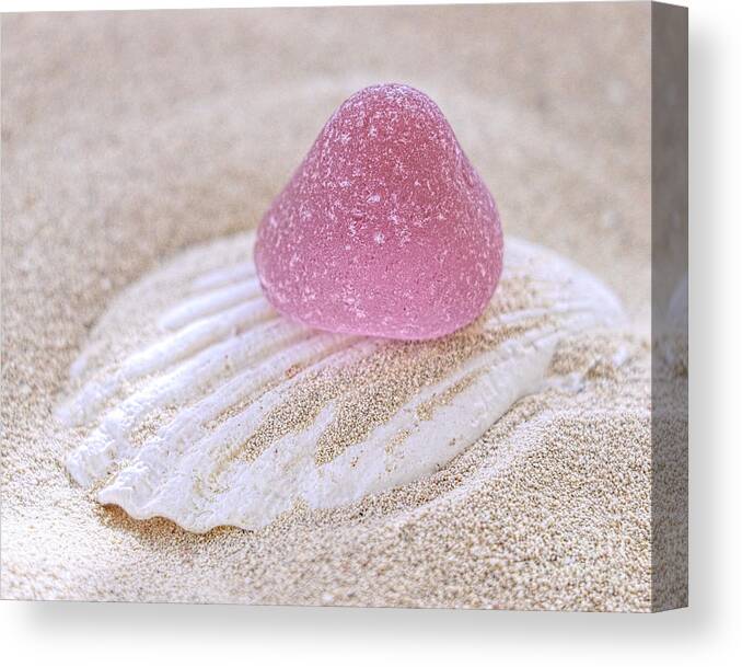 Sea Glass Canvas Print featuring the photograph Pink gumdrop sea glass by Janice Drew