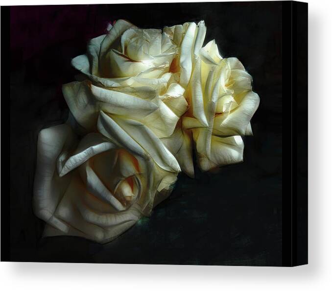 Photography Canvas Print featuring the photograph Plump Roses by DonaRose