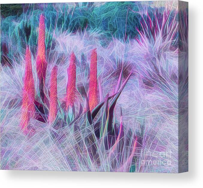 Art Canvas Print featuring the photograph Poker Plants in Pinks and Blues by Roslyn Wilkins