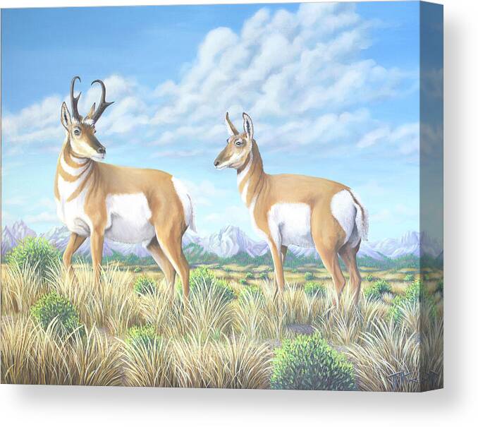 Pronghorn Canvas Print featuring the painting Pronghorn by the Tetons by Tish Wynne