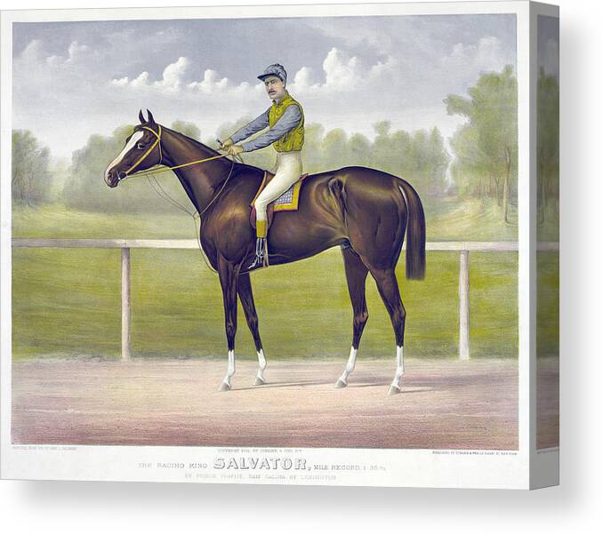 1891 Canvas Print featuring the drawing Race Horse, C1891 by Granger