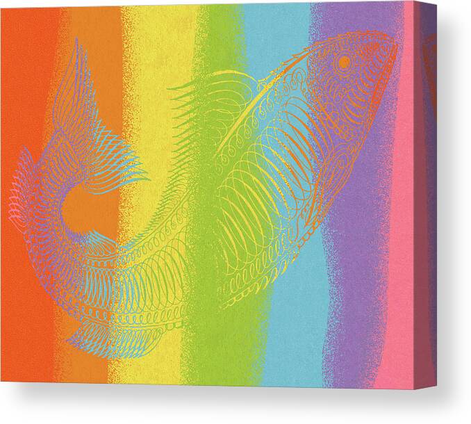 Animal Canvas Print featuring the drawing Rainbow Fish by CSA Images