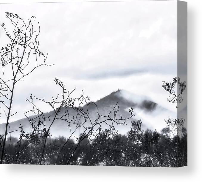 Affordable Canvas Print featuring the photograph Rare Desert Fog in Winter by Judy Kennedy