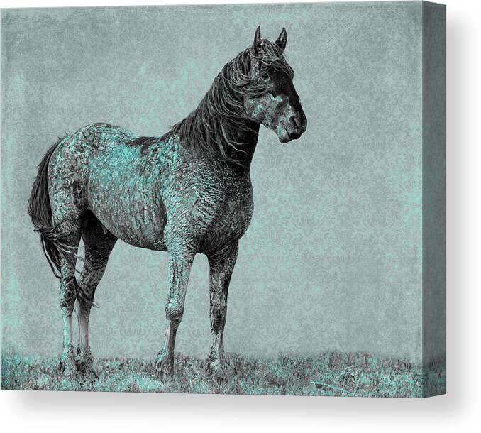 Wild Horses Canvas Print featuring the photograph Rhapsody in Blue by Mary Hone