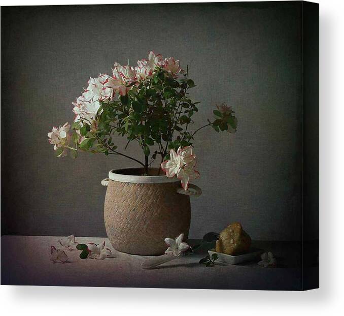 Rhododendron Canvas Print featuring the photograph Rhododendron by Fangping Zhou
