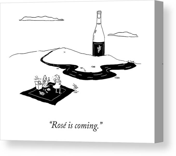 Rosé Is Coming. Canvas Print featuring the drawing Rose Is Coming by Colin Tom