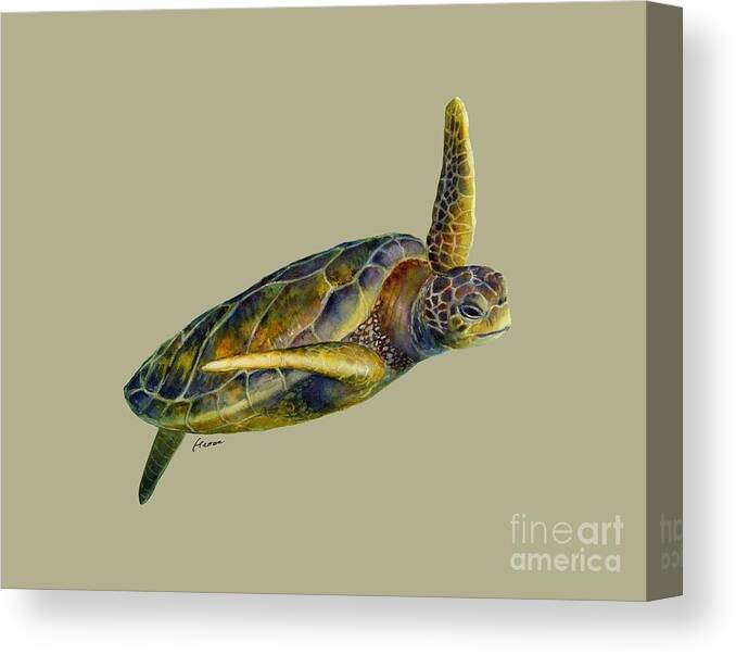 Underwater Canvas Print featuring the painting Sea Turtle 2-Solid background by Hailey E Herrera