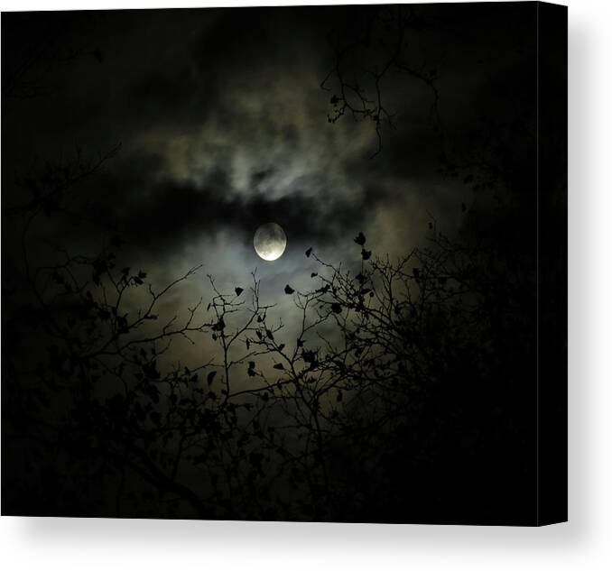 Night Sky Canvas Print featuring the photograph Shadow Moon by Linda Stern