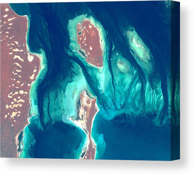 Satellite Image Canvas Print featuring the digital art Shark Bay from space by Christian Pauschert
