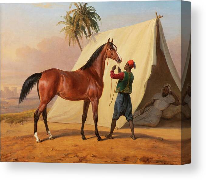 Horace Vernet Canvas Print featuring the painting Showing an Arabian Horse by Horace Vernet