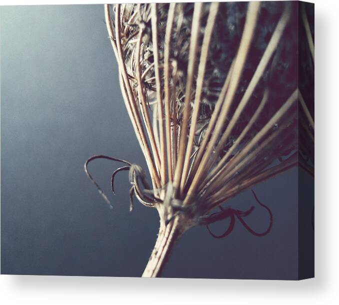 Abstract Photography Canvas Print featuring the photograph Simple Form by Lupen Grainne