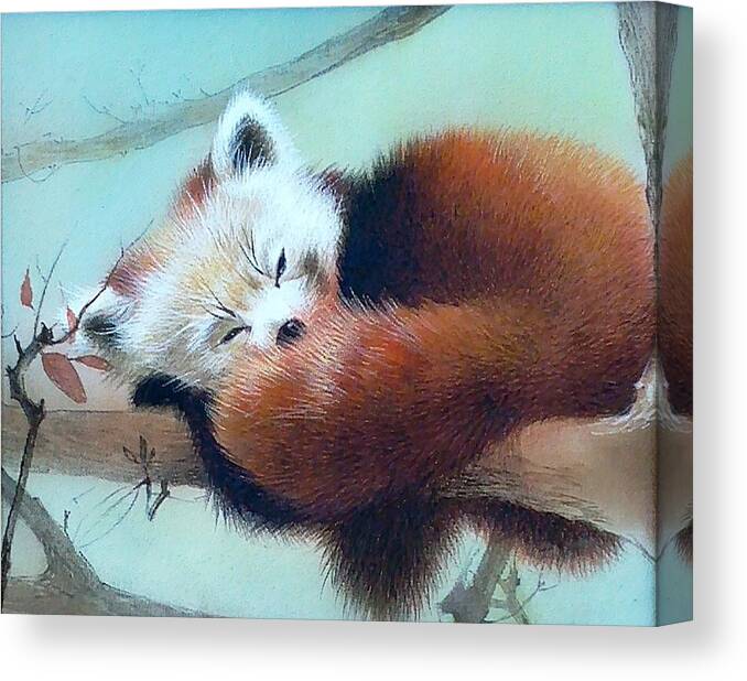 Russian Artists New Wave Canvas Print featuring the painting Sleeping Red Panda by Alina Oseeva