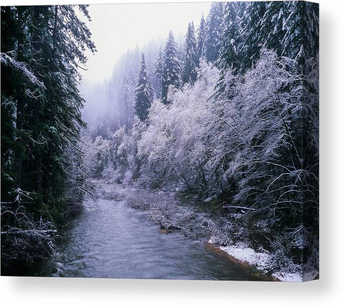 Coast Range Canvas Print featuring the photograph Smith River Snow by Robert Potts