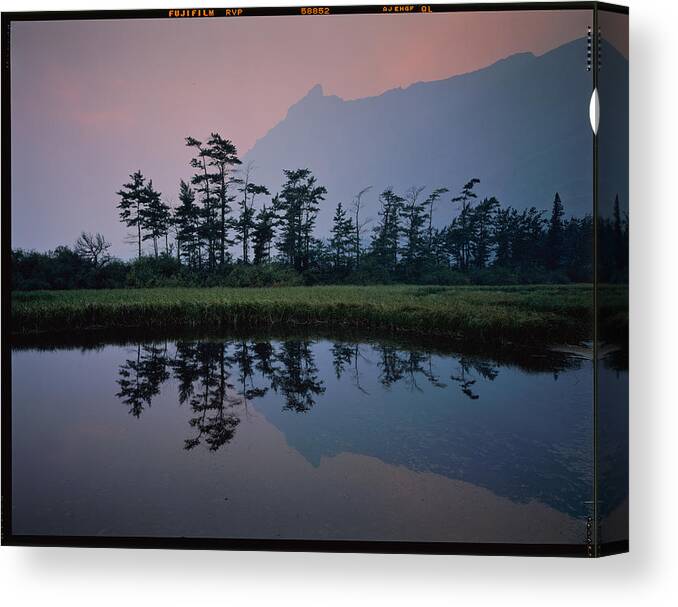 Trees Canvas Print featuring the photograph Smoky Morning At Glacier National Park by Lei Meng