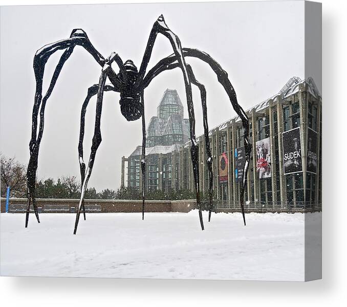 Ottawa Canvas Print featuring the photograph Spidey Sense by Mike Reilly