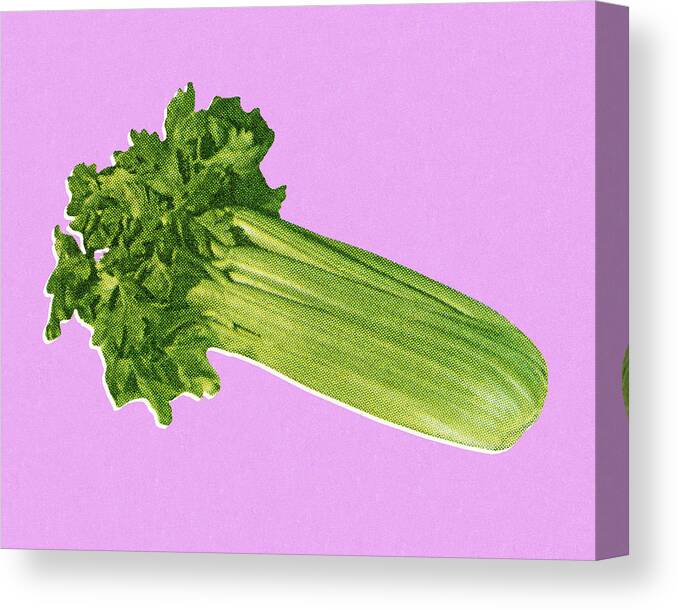 Campy Canvas Print featuring the drawing Stalk of Celery by CSA Images