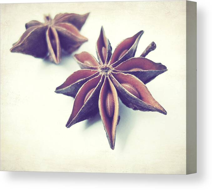 Food Photography Canvas Print featuring the photograph Star Anise by Lupen Grainne
