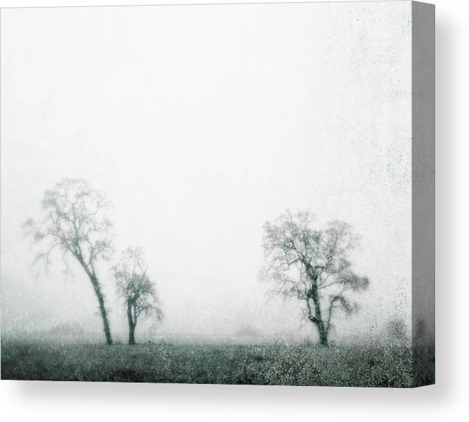 Black And White Photography Canvas Print featuring the photograph Stillness of Morning by Lupen Grainne