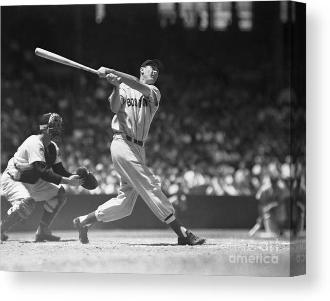 People Canvas Print featuring the photograph Ted Williams Making A Hit by Bettmann