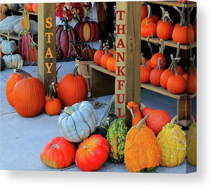 Thanksgiving Canvas Print featuring the photograph Thanksgiving Card - One by Linda Stern