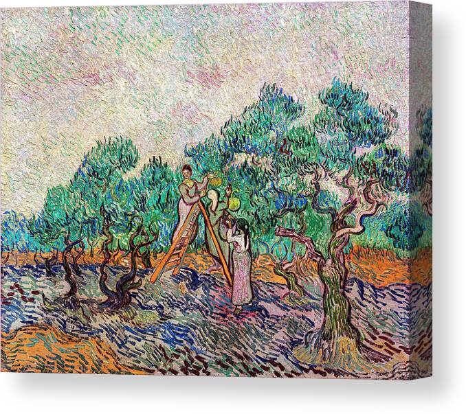 Trees Canvas Print featuring the photograph The Olive Orchard 1889 By Vincent Van by Dec925
