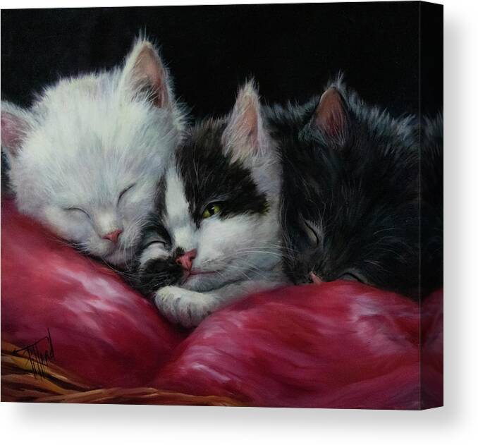 Kittens Canvas Print featuring the painting Three Little Kittens by Lynne Pittard