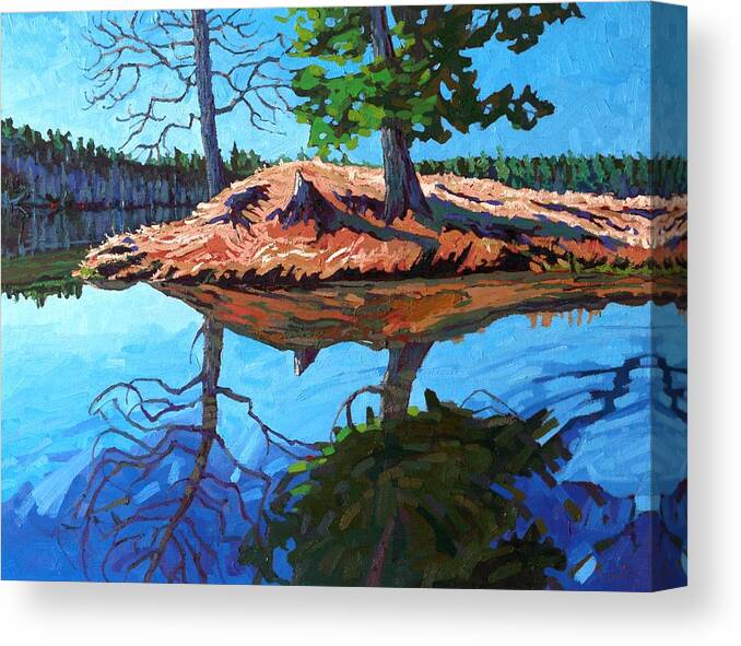 2246 Canvas Print featuring the painting Turtle Point by Phil Chadwick