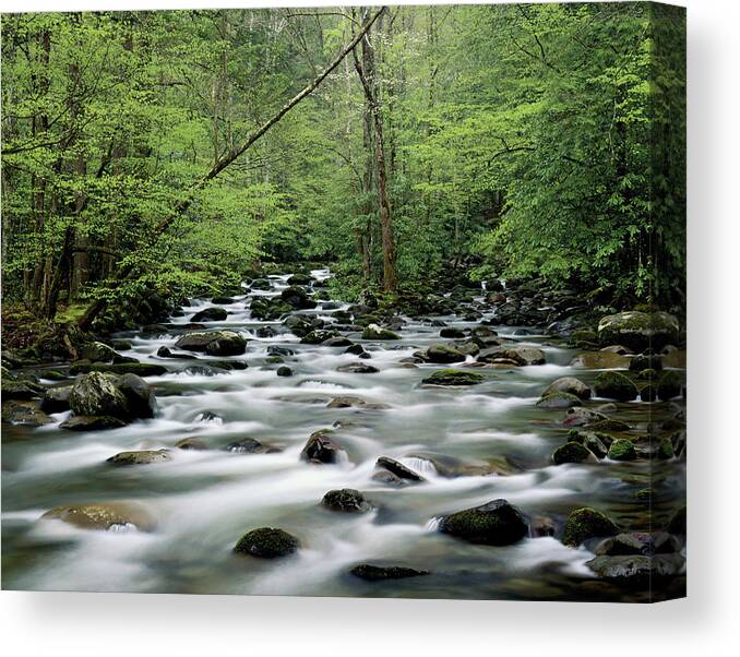 Scenics Canvas Print featuring the photograph Usa, Tennesse, Great Smoky Mountains by Robert Cable