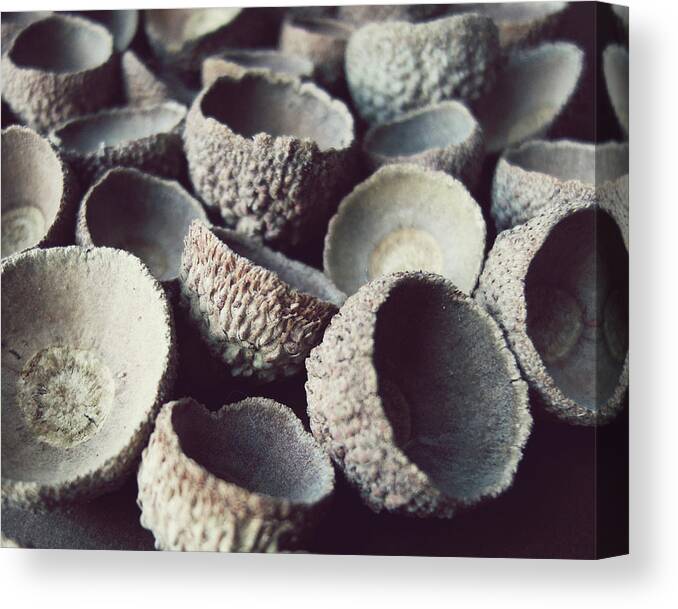 Abstract Canvas Print featuring the photograph Vessels by Lupen Grainne
